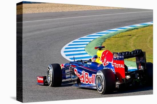 Team Red Bull F1, Sebastian Vettel, 2012-viledevil-Premier Image Canvas