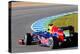Team Red Bull F1, Sebastian Vettel, 2012-viledevil-Premier Image Canvas