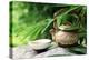 Teapot and Cups on Stone with Bamboo Leaves.-Liang Zhang-Premier Image Canvas