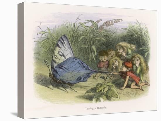 Teasing a Butterfly-Richard Doyle-Stretched Canvas