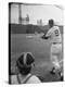 Ted Williams Batting at Fenway Park-Ralph Morse-Premier Image Canvas