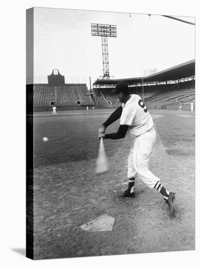 Ted Williams Taking a Swing During Batting Practice-Ralph Morse-Premier Image Canvas