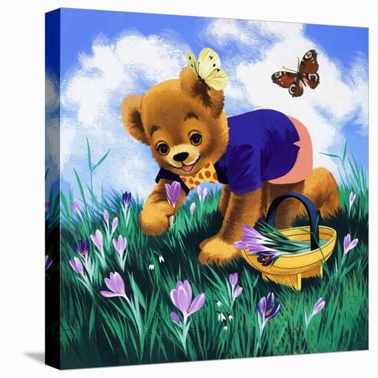 Teddy Bear-Francis Phillipps-Premier Image Canvas