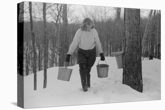 Teenage Girl Gathering Sap from Sugar Maple Trees, North Bridgewater, Vermont, 1940-Marion Post Wolcott-Premier Image Canvas