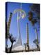 Telecommunications Tower by Architect Santiago Calatrava, Montjuic, Barcelona; Catalonia, Spain-Carlos Sanchez Pereyra-Premier Image Canvas