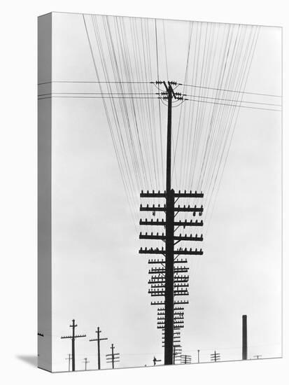Telegraph Wires, Mexico, 1925-Tina Modotti-Premier Image Canvas