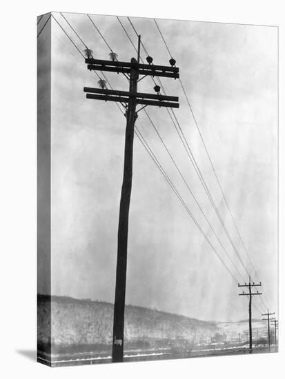 Telephone Poles in Snowy Weather-null-Premier Image Canvas