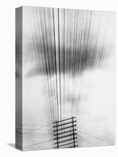 Telephone Wires, Mexico, 1925-Tina Modotti-Premier Image Canvas