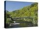 Telford Iron Bridge, Built in 1815, across the River Spey, Scotland, United Kingdom, Europe-Richard Maschmeyer-Premier Image Canvas