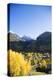 Telluride, Colorado-Justin Bailie-Premier Image Canvas