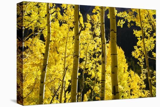 Telluride, Colorado-Justin Bailie-Premier Image Canvas