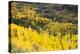 Telluride, Colorado-Justin Bailie-Premier Image Canvas