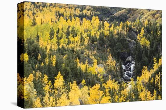 Telluride, Colorado-Justin Bailie-Premier Image Canvas