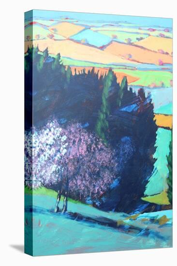 Teme Valley Blossom close up 1 (Acrylic on Board)-Paul Powis-Premier Image Canvas