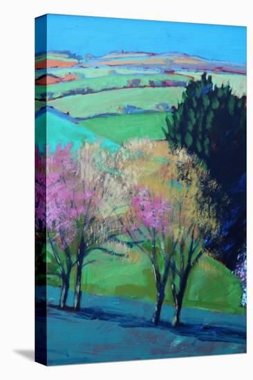 Teme Valley blossom close up 2-Paul Powis-Premier Image Canvas