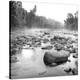 Temperance River-Stephen Gassman-Stretched Canvas