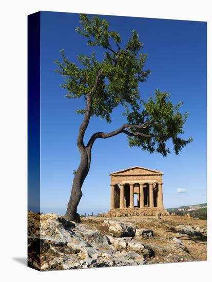 Tempio Di Concordia (Concord) and Almond Tree, Valle Dei Templi, UNESCO World Heritage Site, Agrige-Stuart Black-Premier Image Canvas