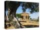 Tempio Di Concordia (Concord), Valle Dei Templi, UNESCO World Heritage Site, Agrigento, Sicily, Ita-Stuart Black-Premier Image Canvas