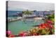 Tenby, Pembrokeshire, Wales, United Kingdom, Europe-Billy Stock-Premier Image Canvas