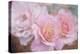 Tender roses-Viviane Fedieu Danielle-Premier Image Canvas