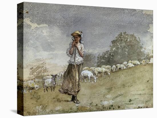 Tending Sheep, Houghton Farm-Winslow Homer-Premier Image Canvas