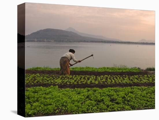 Tending the Crops on the Banks of the Mekong River, Pakse, Southern Laos, Indochina-Andrew Mcconnell-Premier Image Canvas