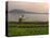 Tending the Crops on the Banks of the Mekong River, Pakse, Southern Laos, Indochina-Andrew Mcconnell-Premier Image Canvas