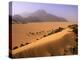 Tenere Desert, Camel Caravan Travelling Through the Air Mountains and Tenere Desert, Niger-Paul Harris-Premier Image Canvas