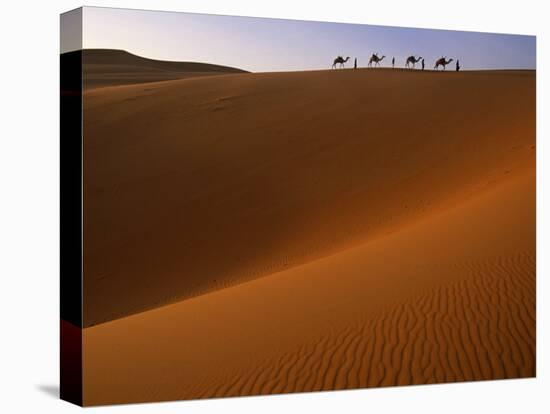 Tenere Desert, Camel Caravan Travelling Through the Air Mountains and Tenere Desert, Niger-Paul Harris-Premier Image Canvas