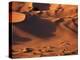 Tenere Desert, Sand Dunes Within the Extinct Caldera of Arakao, Niger-Paul Harris-Premier Image Canvas