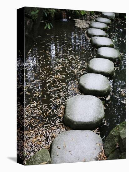 Tenjuan Wet Garden in Nanzen Ji Temple, Kyoto, Japan, Asia-null-Premier Image Canvas