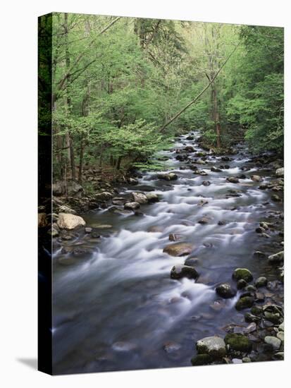 Tennessee, Great Smoky Mountains National Park, a Mountain Stream-Christopher Talbot Frank-Premier Image Canvas