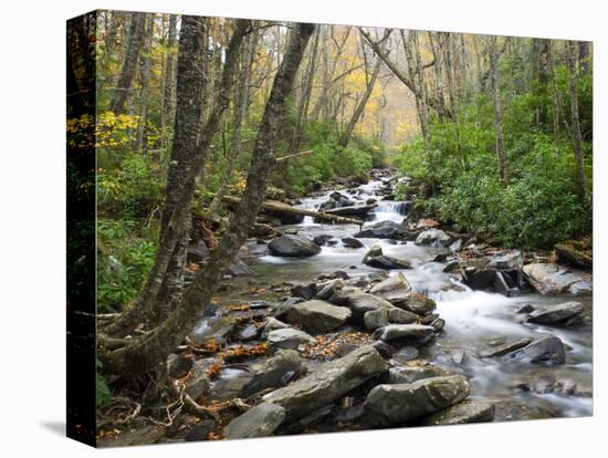Tennessee, Great Smoky Mountains National Park, Alum Cave Creek-Jamie & Judy Wild-Premier Image Canvas