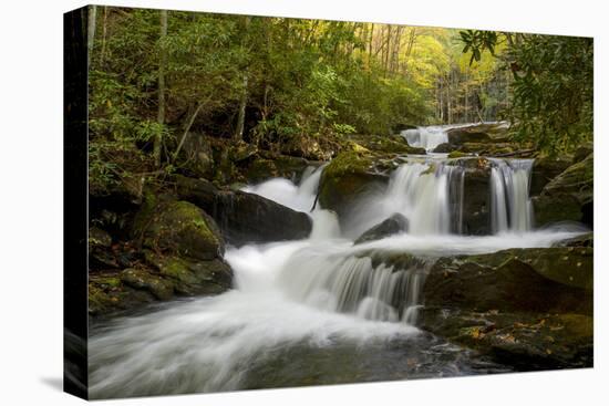 Tennessee, Great Smoky Mountains National Park. Autumn Trees and Waterfall on the Little River-Judith Zimmerman-Premier Image Canvas