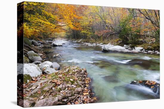 Tennessee, Great Smoky Mountains National Park, Little River-Jamie & Judy Wild-Premier Image Canvas