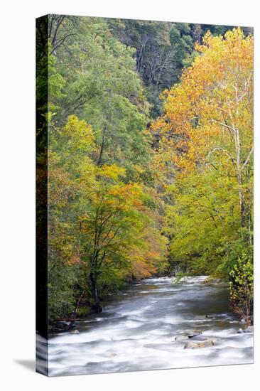 Tennessee, Great Smoky Mountains National Park, Little River-Jamie & Judy Wild-Premier Image Canvas