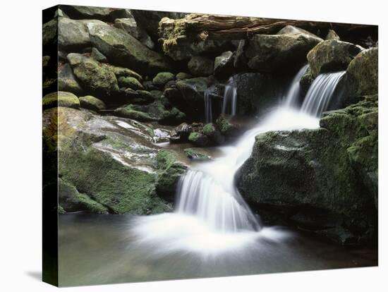 Tennessee, Great Smoky Mountains National Park, Stream with Small Waterfalls-Christopher Talbot Frank-Premier Image Canvas