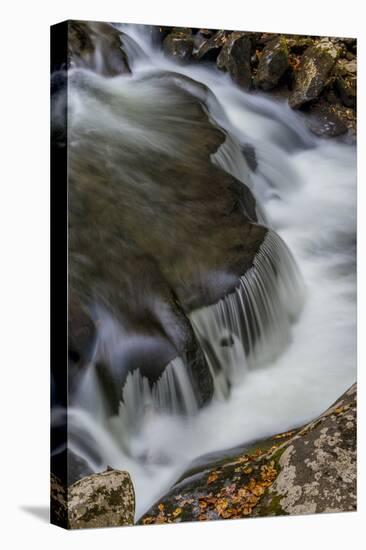 Tennessee, Great Smoky Mountains National Park-Judith Zimmerman-Premier Image Canvas