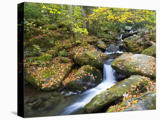 Tennessee, Great Smoky Mountains NP, Roaring Fork River-Jamie & Judy Wild-Premier Image Canvas