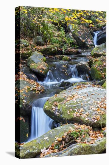 Tennessee, Great Smoky Mountains NP, Roaring Fork River-Jamie & Judy Wild-Premier Image Canvas