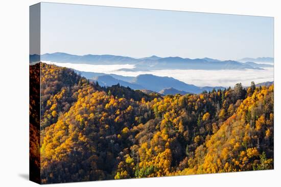 Tennessee, North Carolina, Great Smoky Mountains NP, Newfound Gap-Jamie & Judy Wild-Premier Image Canvas