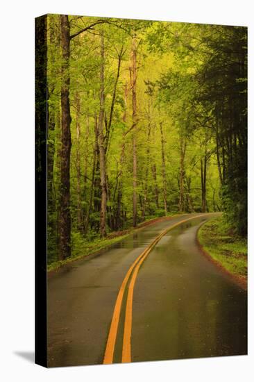 Tennessee, Road at Tremont in the Smoky Mountains NP-Joanne Wells-Premier Image Canvas