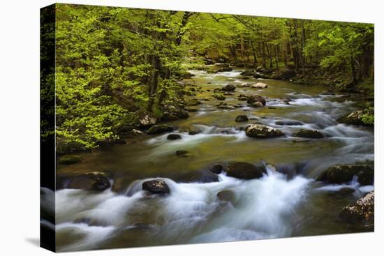 Tennessee, Spring Reflections on Little River at Smoky Mountains NP-Joanne Wells-Premier Image Canvas