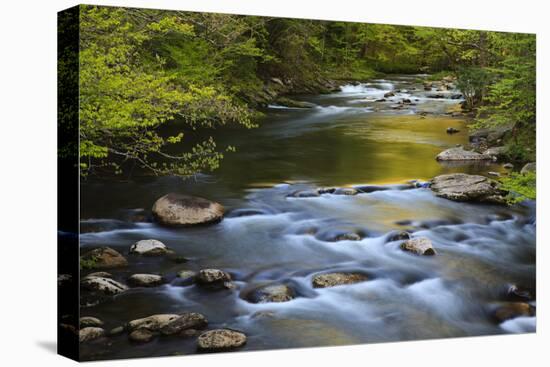 Tennessee, Spring Reflections on Little River at Smoky Mountains NP-Joanne Wells-Premier Image Canvas