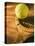 Tennis Ball and Wood Racket-Tom Grill-Premier Image Canvas