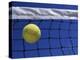 Tennis Ball Hitting Net-null-Premier Image Canvas