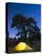 Tent Illuminated Under the Night Sky, Rocky Mountain National Park, Colorado, USA-Christian Kober-Premier Image Canvas