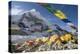 Tents of Mountaineers Scattered Along Khumbu Glacier, Base Camp, Mt Everest, Nepal-David Noyes-Premier Image Canvas