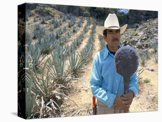 Tequila Plantation Worker, Mexico, North America-Michelle Garrett-Premier Image Canvas