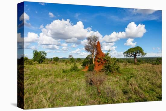 Termite Mount in Tarangire National Park, Tanzania Africa-BlueOrange Studio-Premier Image Canvas